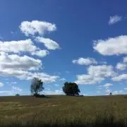 Hashikoの画像