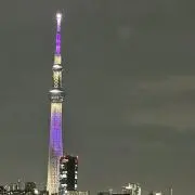 Meronの画像