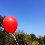 yupipipipipiの画像