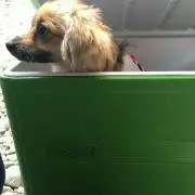 すじすじ(￣^￣)の画像