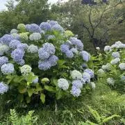 みなみの画像