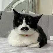 たかちの画像