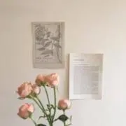 ぽんかんの画像