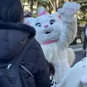 な