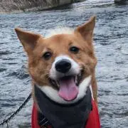 チャッピーママ（プロフ読んでね）の画像