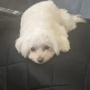 keyの画像