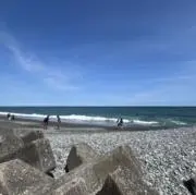 おこめの画像