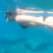 taaamの画像