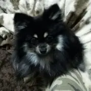 めぐみ