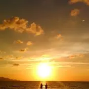 エルドレッソ ランスカ タイガーカモ XS - メルカリ