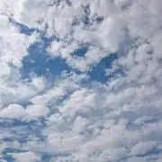 にこらの画像