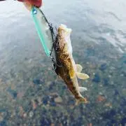 やま