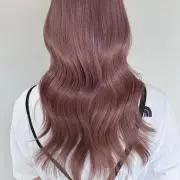 meiの画像