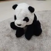 ぱんだ☆16日迄まとめ買い大幅値引き☆の画像