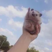 そら