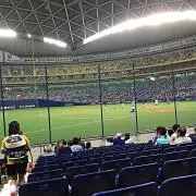 ふっしー