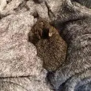 Marimo. プロフ必読 ☆の画像