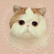 かんぺ