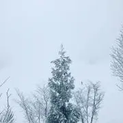 あきみん