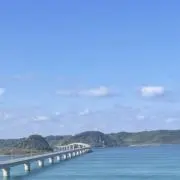 いちご&ももの画像