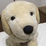 さくさくの画像