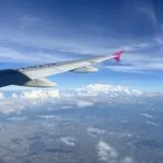 sa.ha.の画像