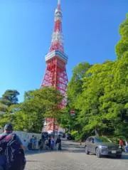 こうきの画像
