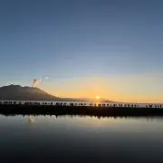 ひかる