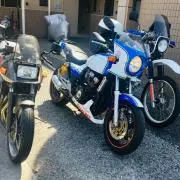 渋井