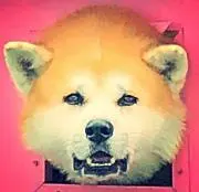 My 値下げ可能の画像
