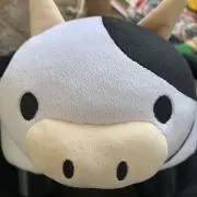 うし蔵の画像