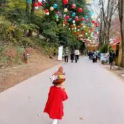ミィの画像
