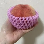 sui☆の画像