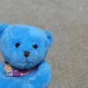 えりつき