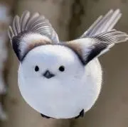 ちっち✾お値下げ希望コメントください✾