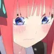 ʚノエルɞの画像