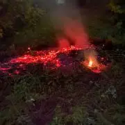 ゆーき