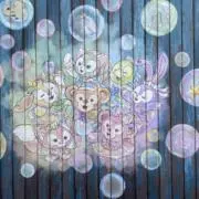 Misaの画像