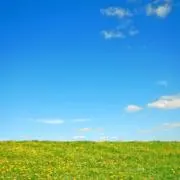 yucho 〔プロフィールご一読下さい〕の画像