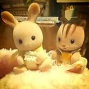 りり