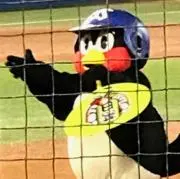 つば九郎クッキーの画像