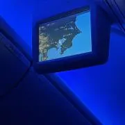 しむせいの画像