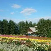 moccoの画像