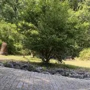 ぬぬ❣️断捨離してます！の画像