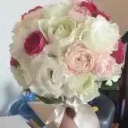 ぁひる♡