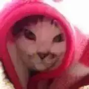 猫村☺︎プロフ必読