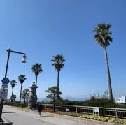 Famvの画像