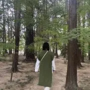 乃木の画像