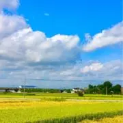 ヒロシの画像