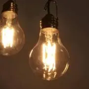 ひたの画像